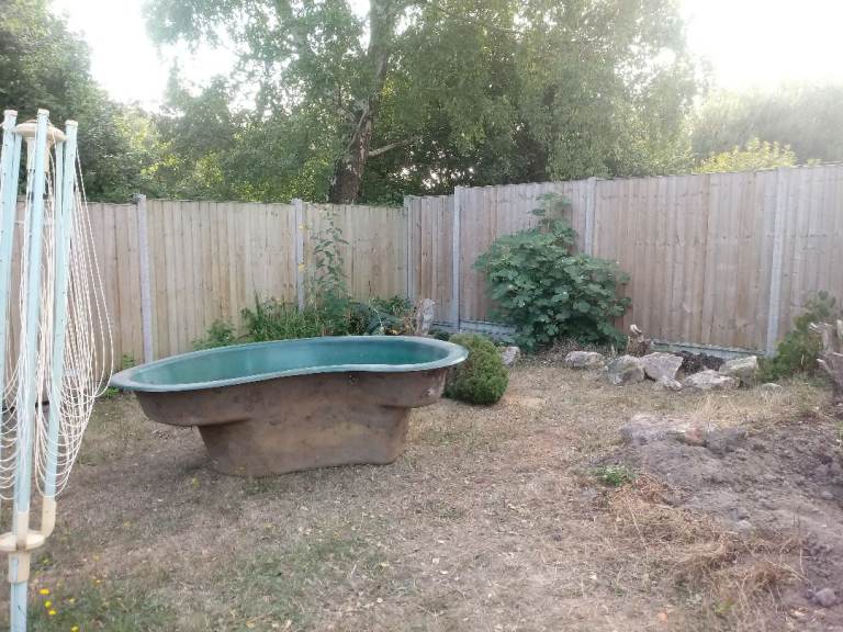 FISH POND