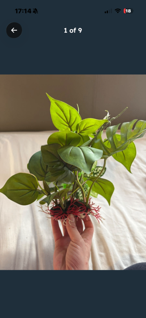 LOT 1 of 2 Fish tank aquarium plants or reptile vivarium 