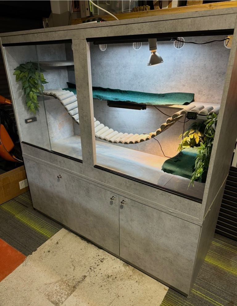 Custom Vivarium 
