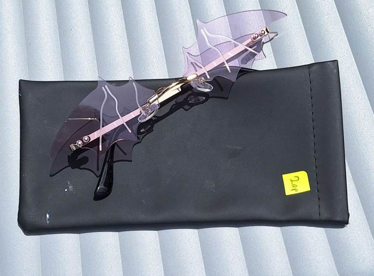Dark Sunglasses Glasses Case Twenty P