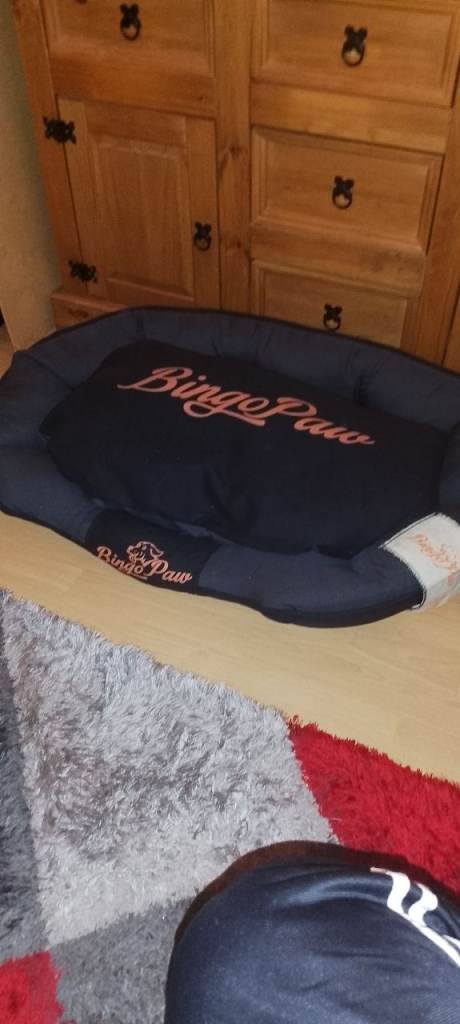 Dog bed 