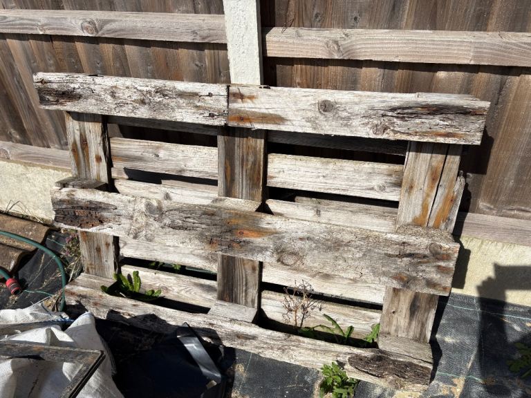 FREE - pallets