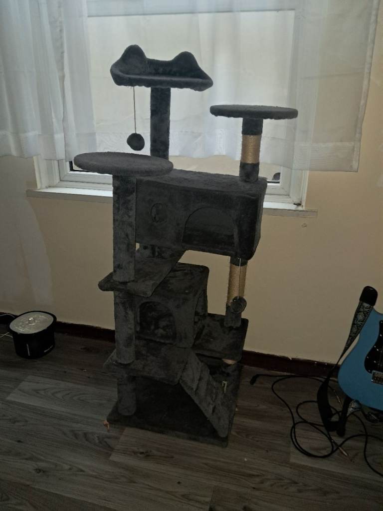 Cat Play Station