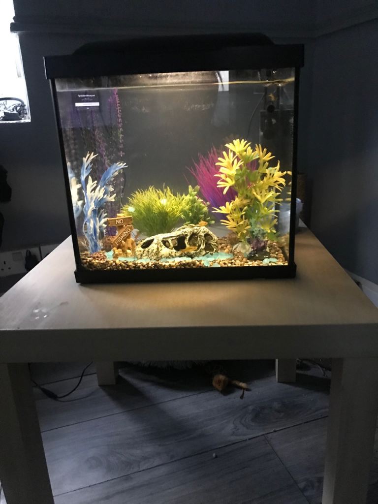 Fish tank 