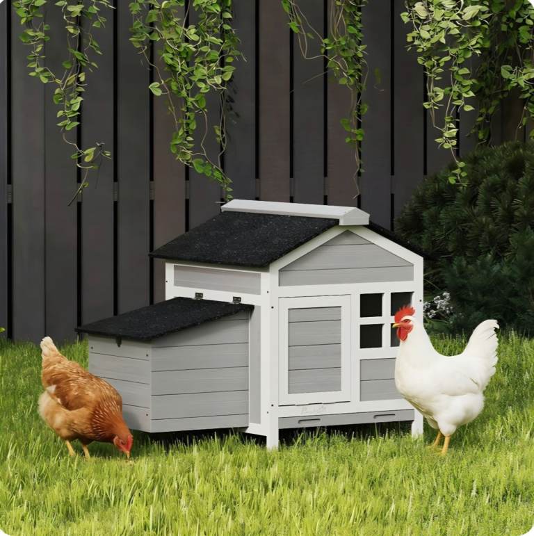 Pawhut wooden chicken coop 