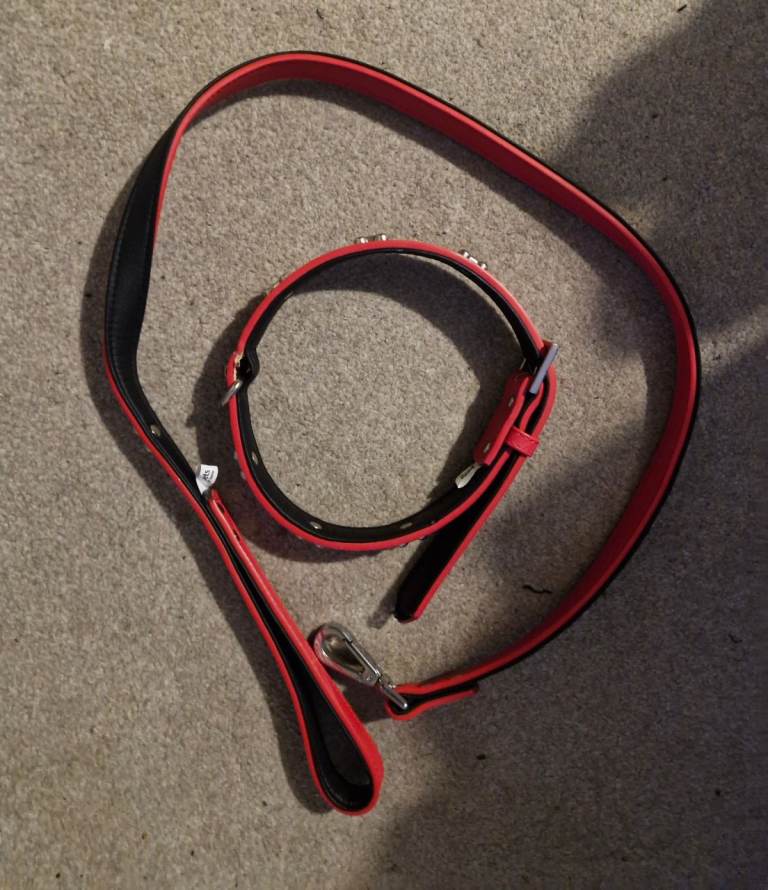 Pet collar and lead, new collection nw9 colindale 