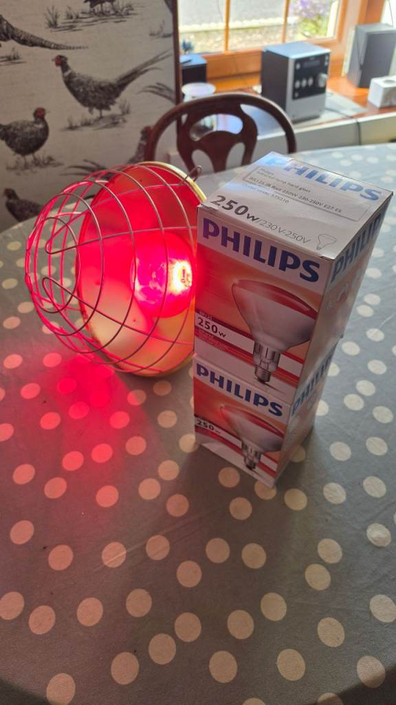 Philips InfraRed Heat Lamp 250W with Guard – As Good As New