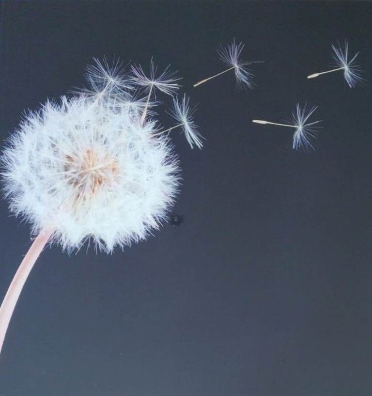 Decorative wishful artwork toughened glass, heat-resistant feature piece