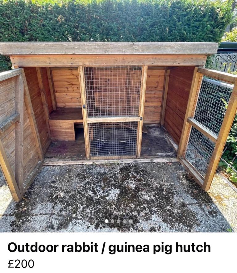 Rabbit/ Guinea Pig Hutch