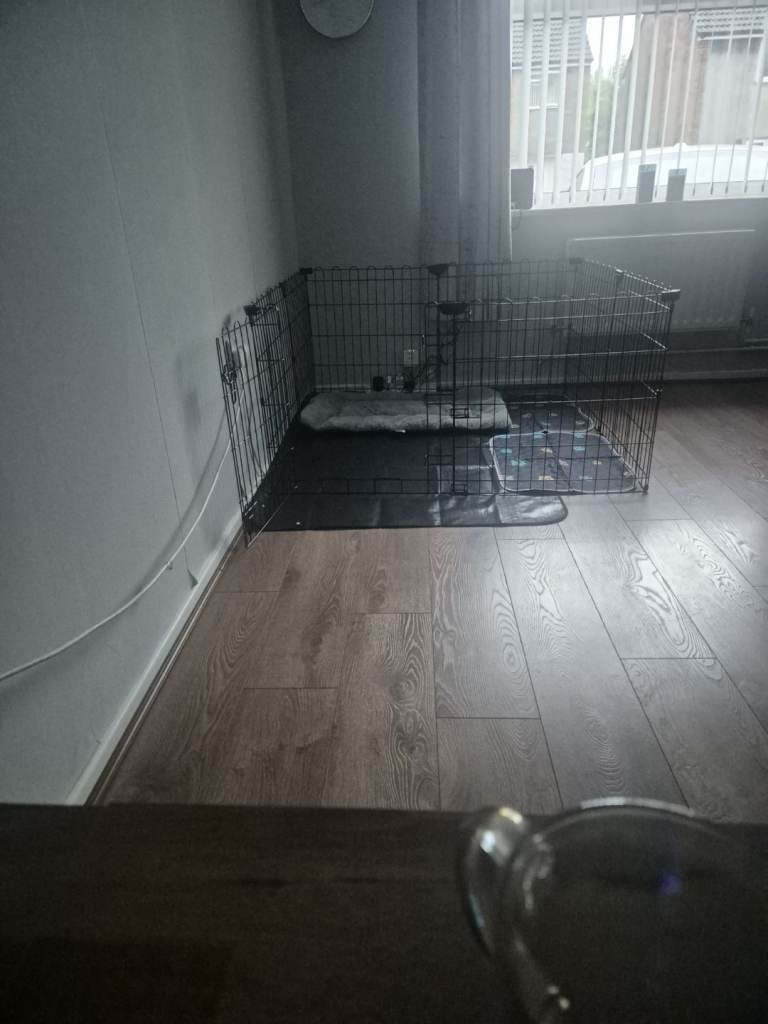 Large crate and playpen