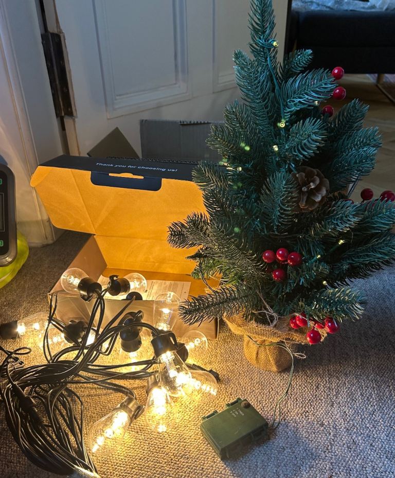 Outdoor Christmas festoon light & 50cm lighted tree