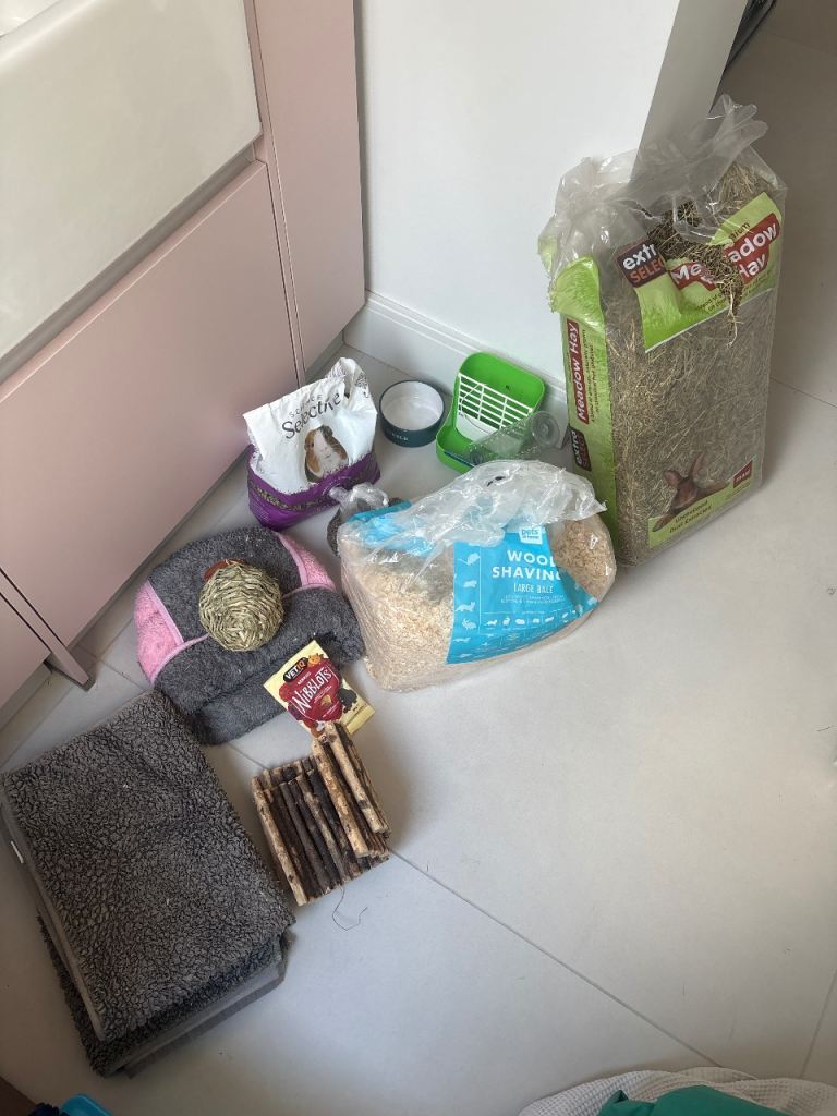 Guinea pig bundle - gone pending 