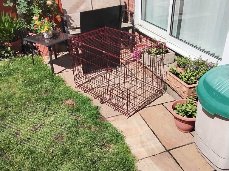 Dog Crate Large Double Door