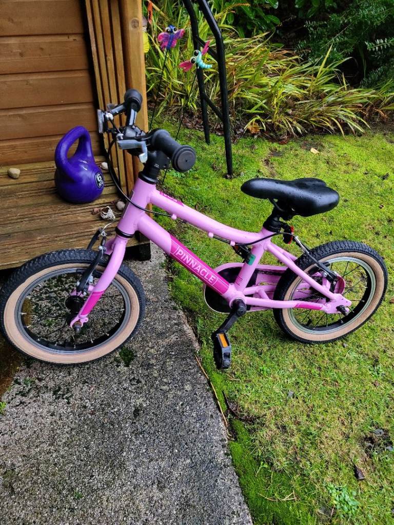 Girls pinnacle bike