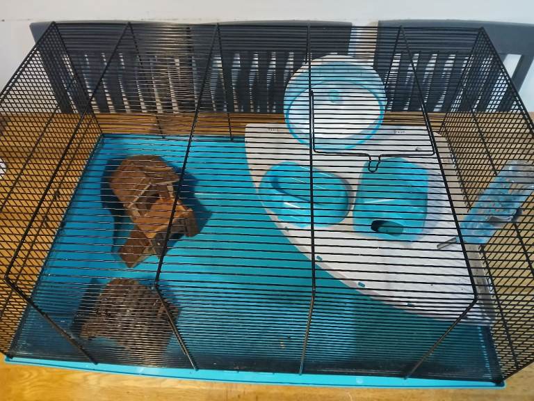 Hamster cage with extras (used)