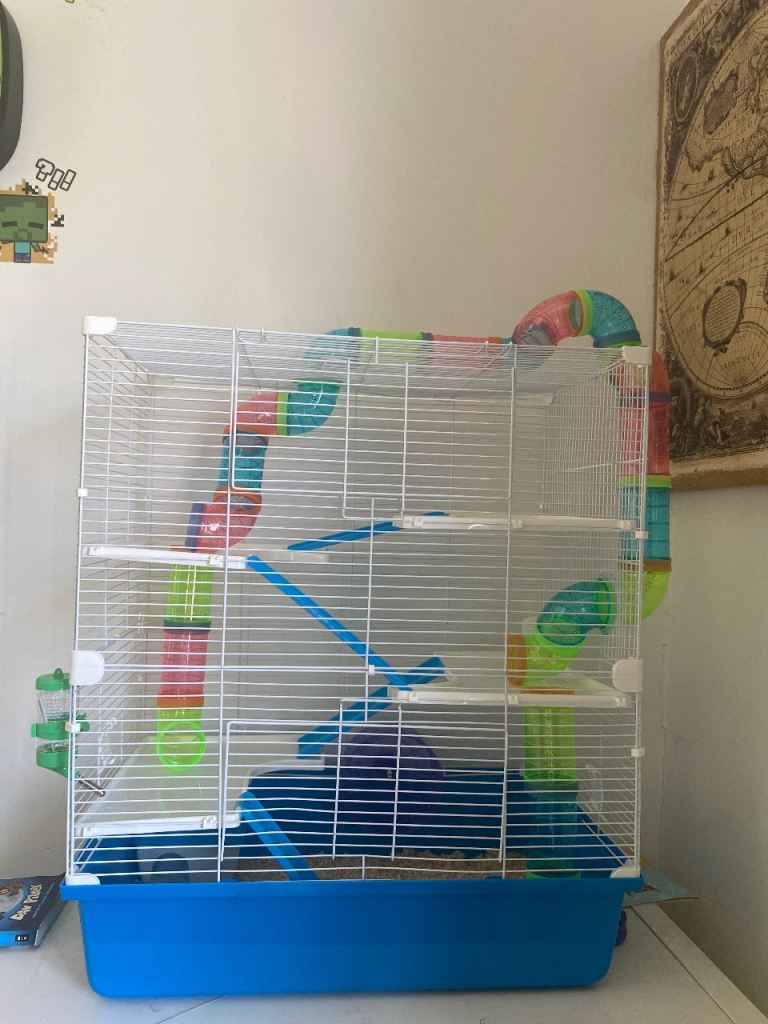 Hamster cage 