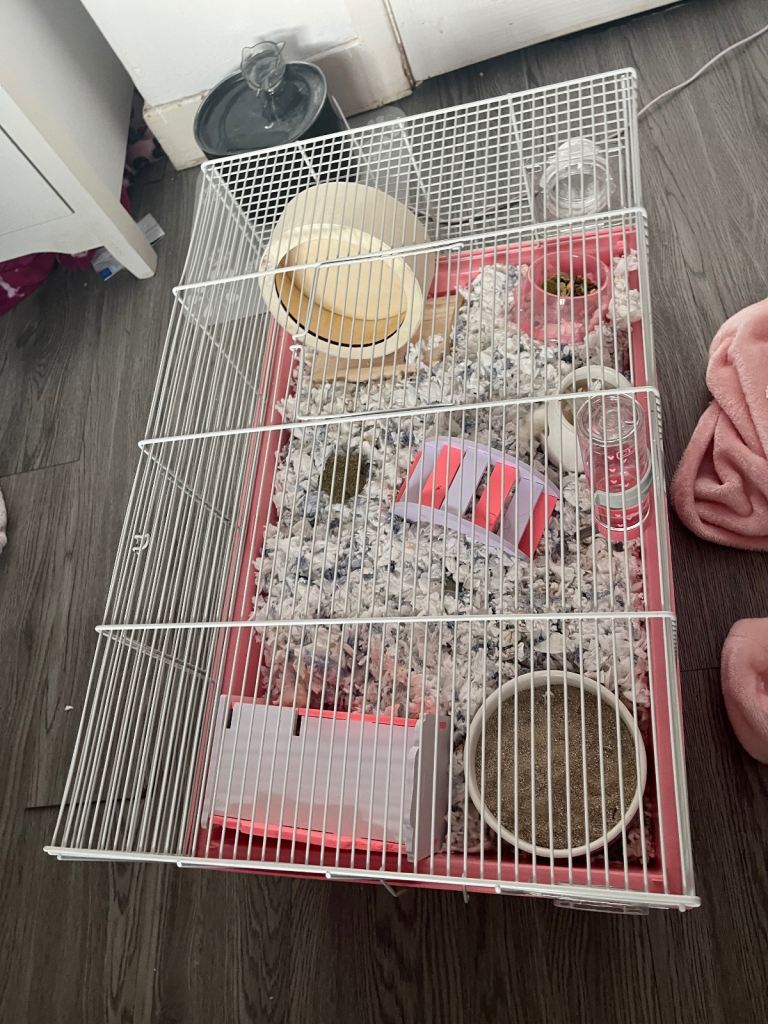 Hamster cage 