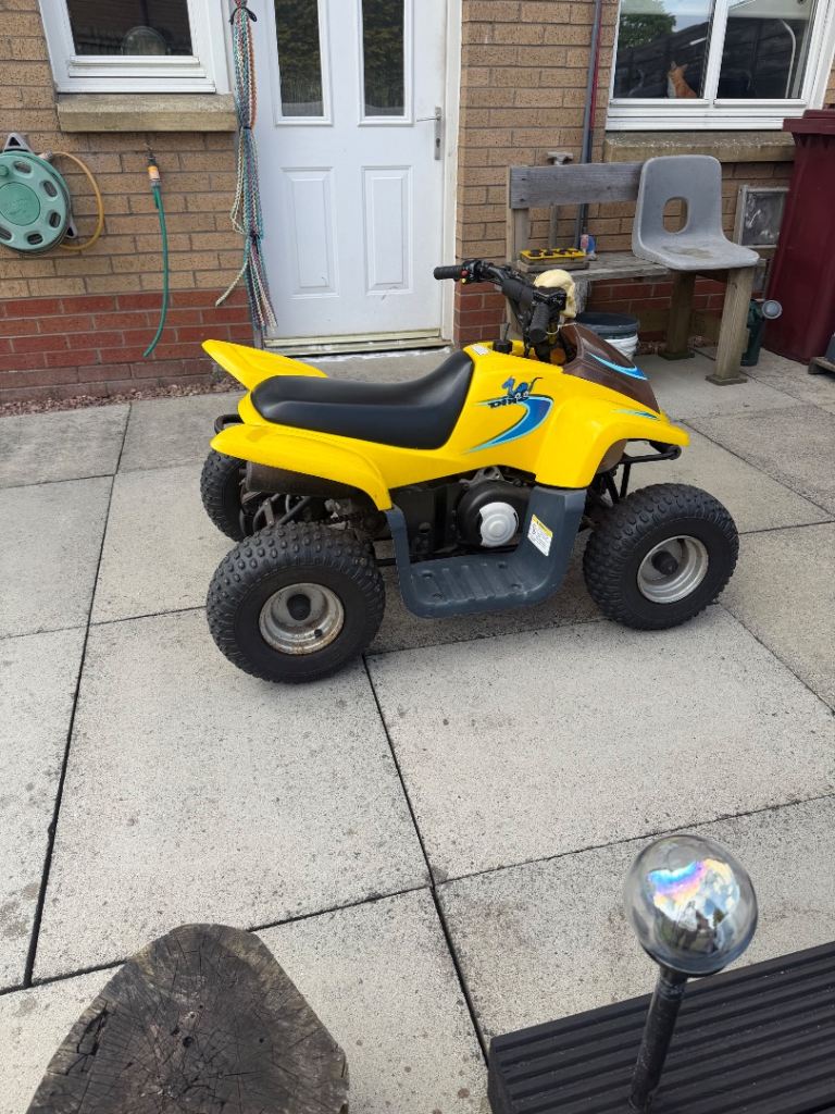 Kids Big 50cc quad dino