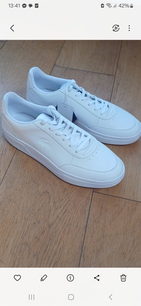 Brand New Lacoste Size 9