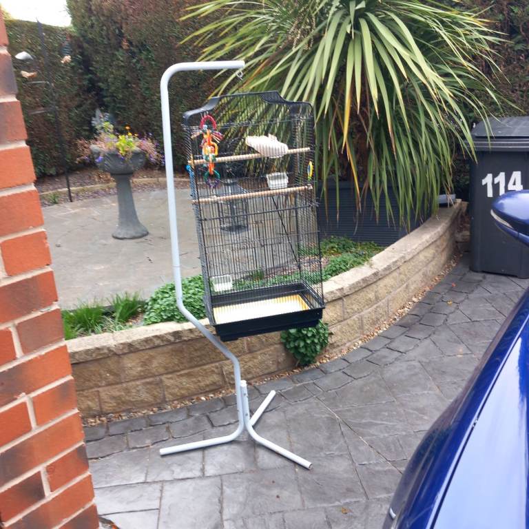 Bird cage for sale