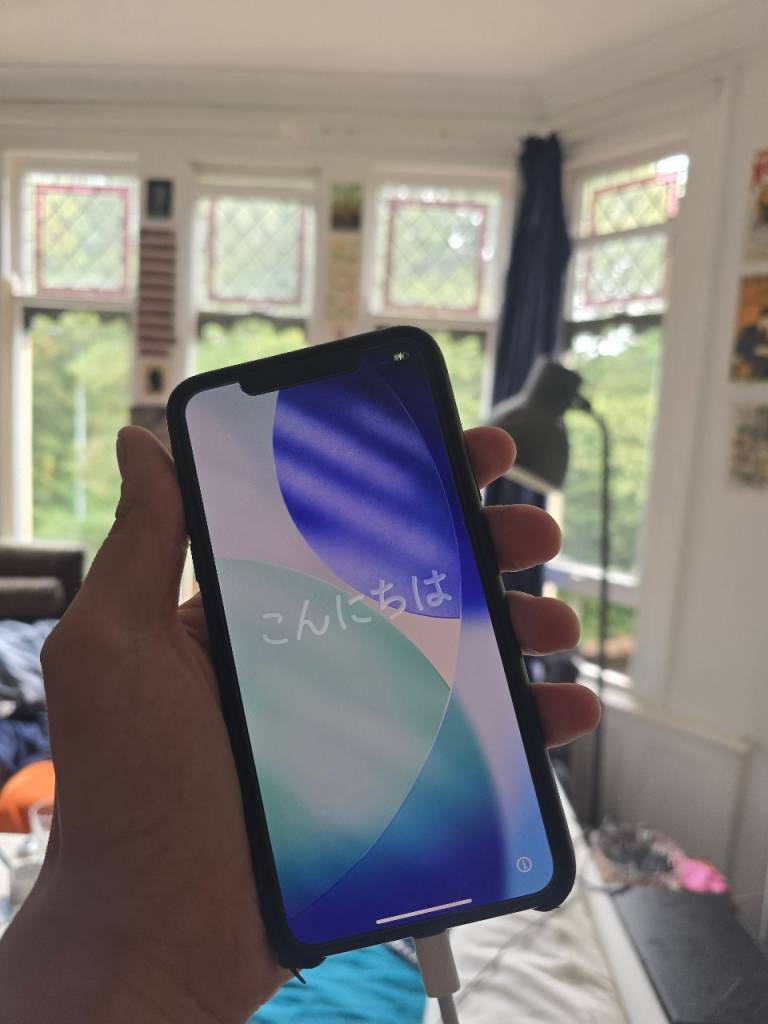 iPhone 11 Pro Max 256GB w/ Airpods 2nd Gen