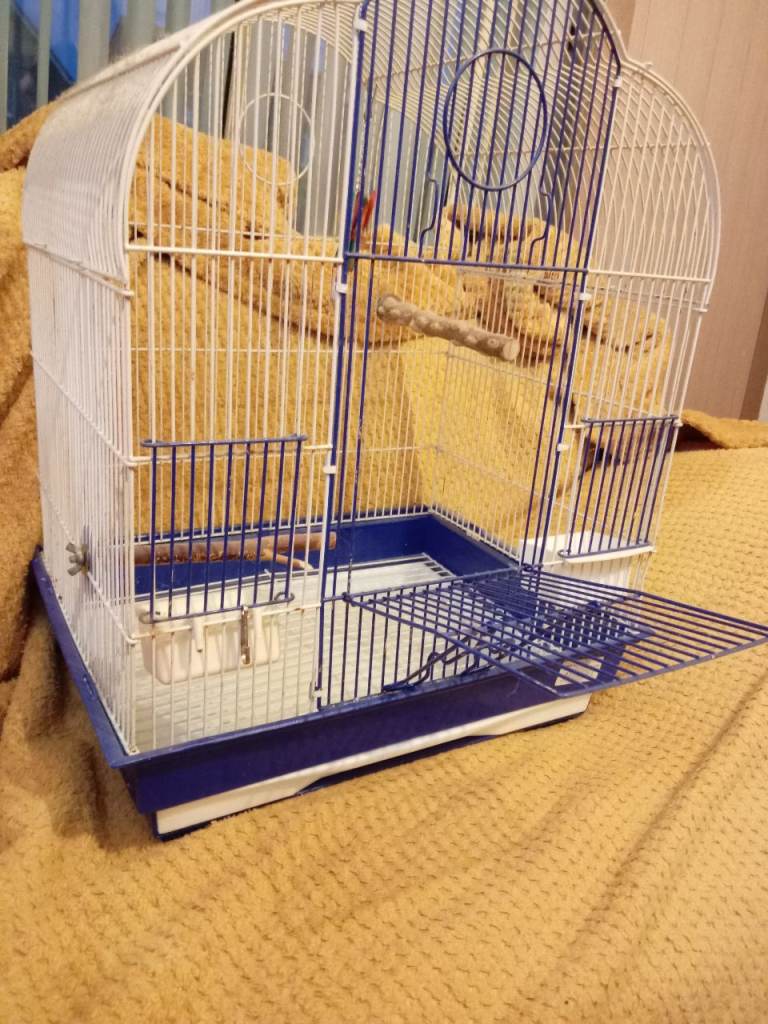 Bird cage 