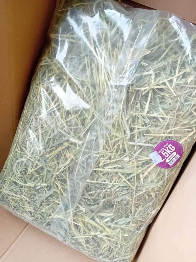 Hay for rabbit/guinea pig