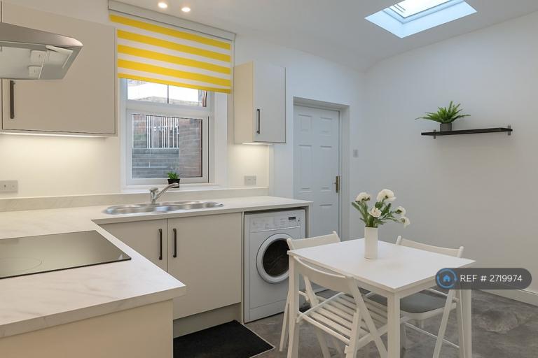 1 bedroom flat in Stafford Road, Sheffield, S2 (1 bed) (#2719974)