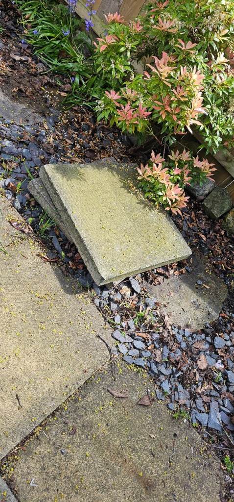 Flag paving stones