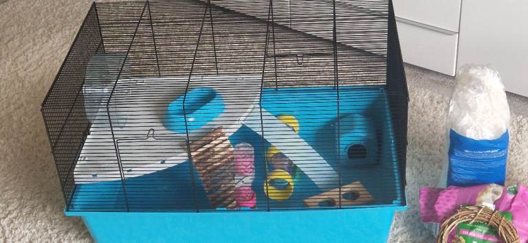 Hamster cage and accessories 