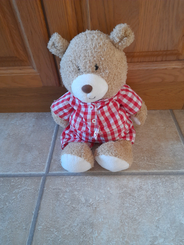 Teddy Bear 