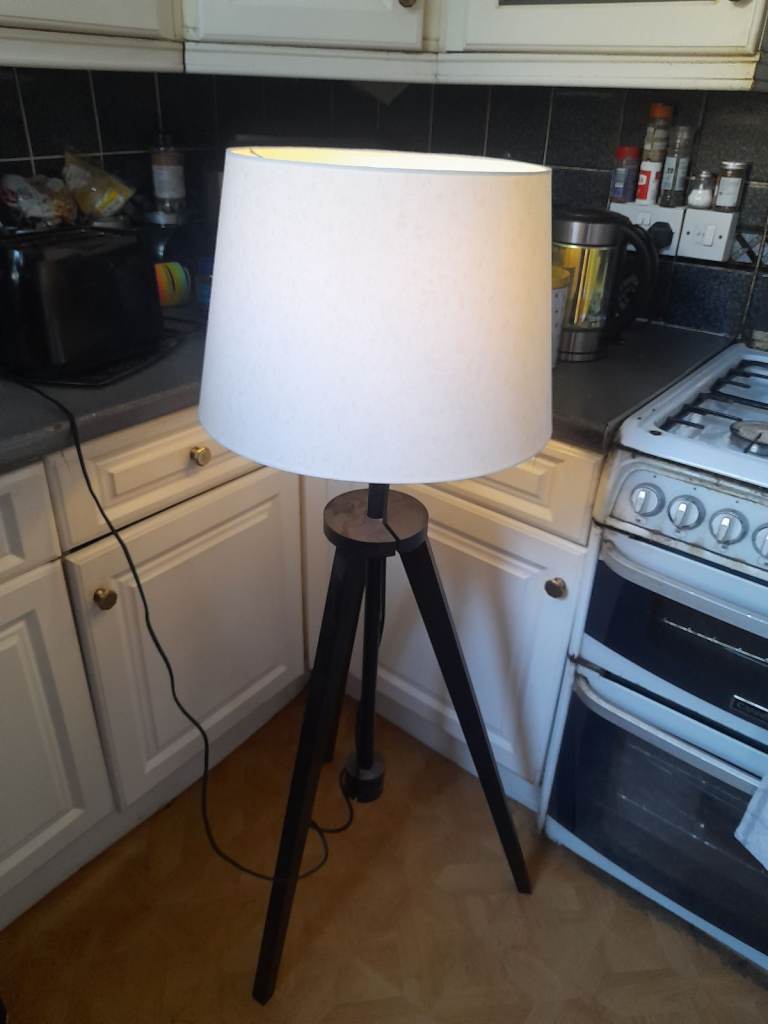 LAMP AND MOWER