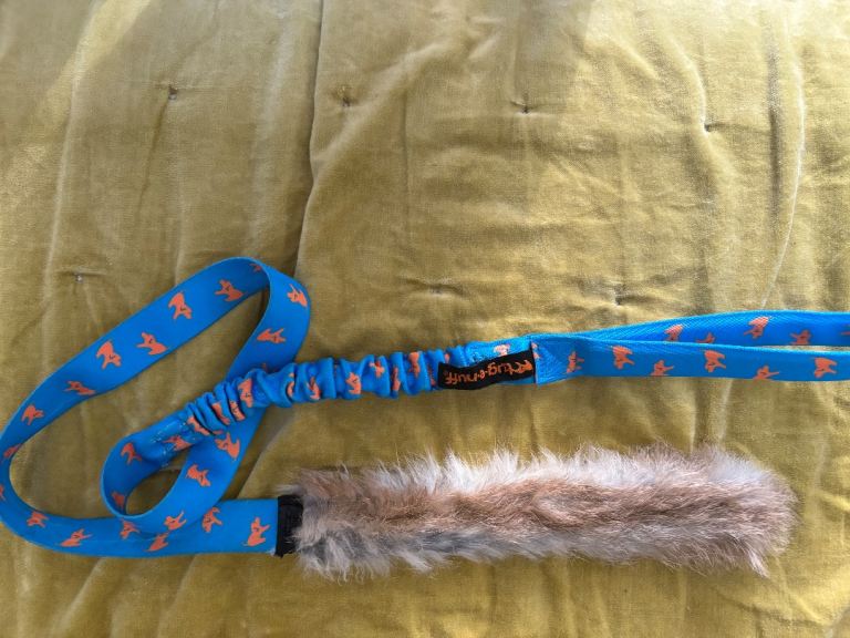 Dog Toy Tug E Nuff Rabbit Skin Bungee Chaser Tug × 1