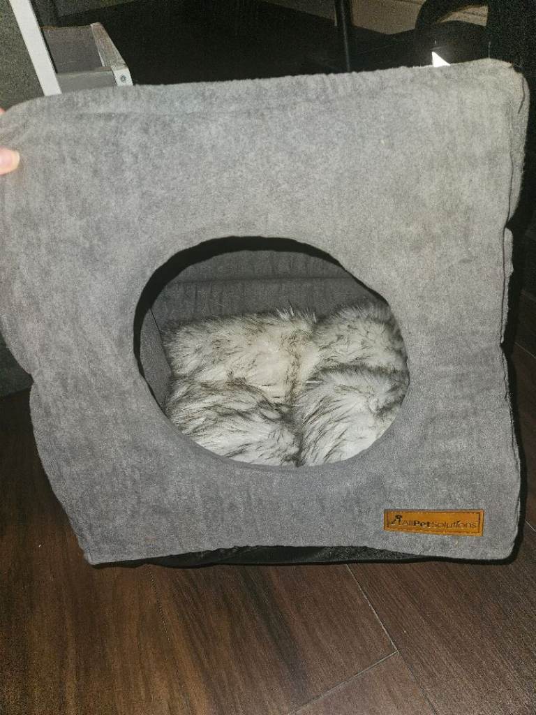 3-in-1 pet bed