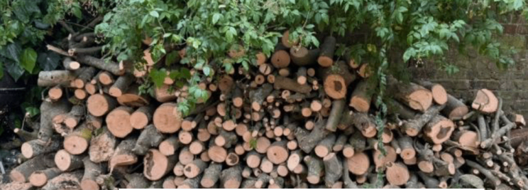 Ash wood / diy wood / furniture wood - about 3 tonnes of Ash wood. fire canal boat