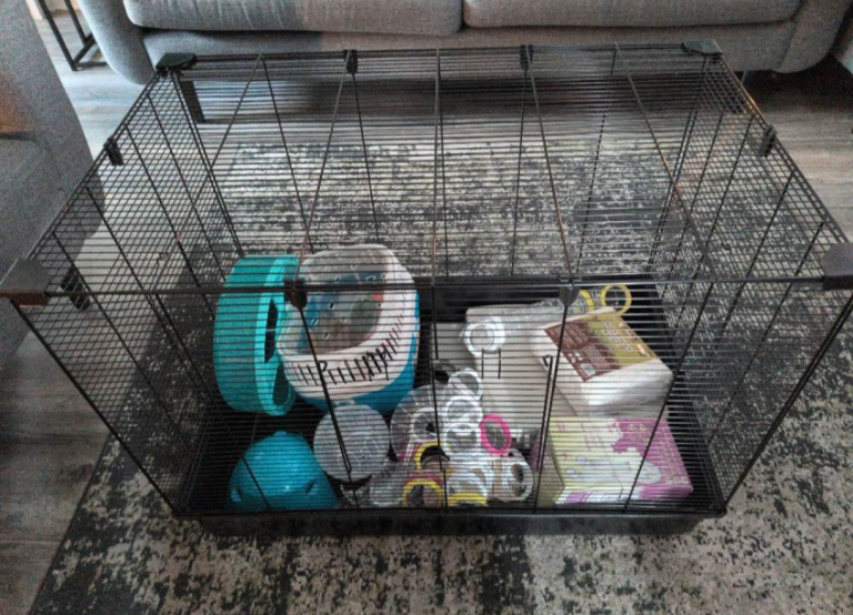 Large Hamster Cage (Syrian/Dwarf/Robrovski) and Accessories - May also suit other small animals