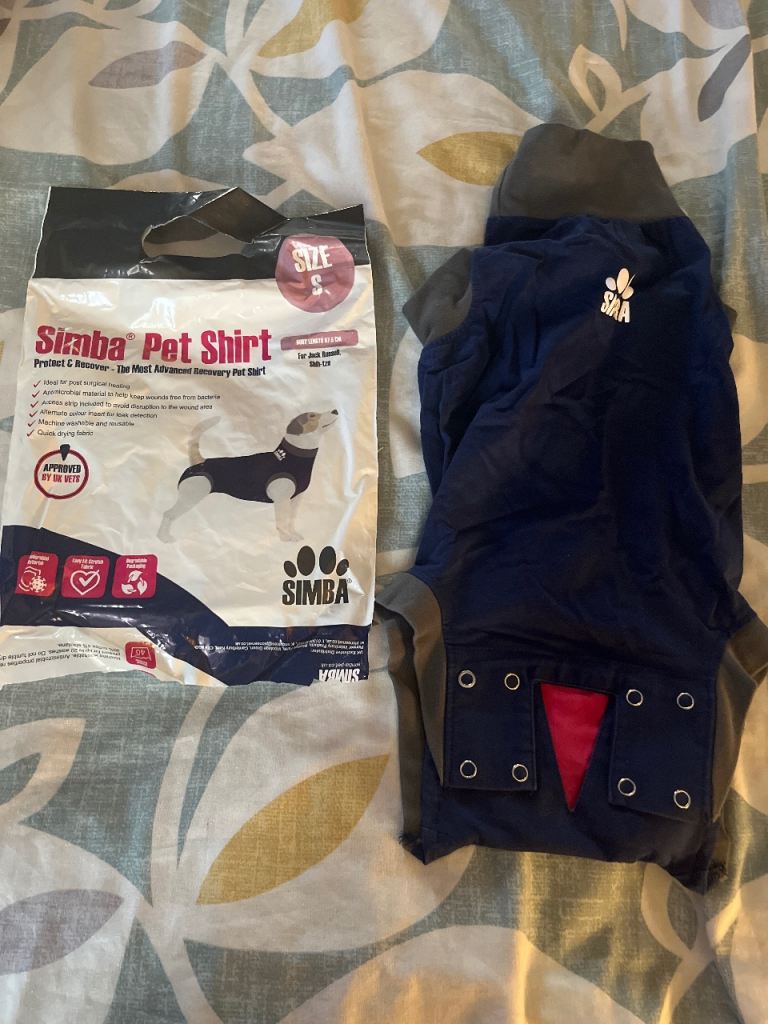 Dog Simba pet suit