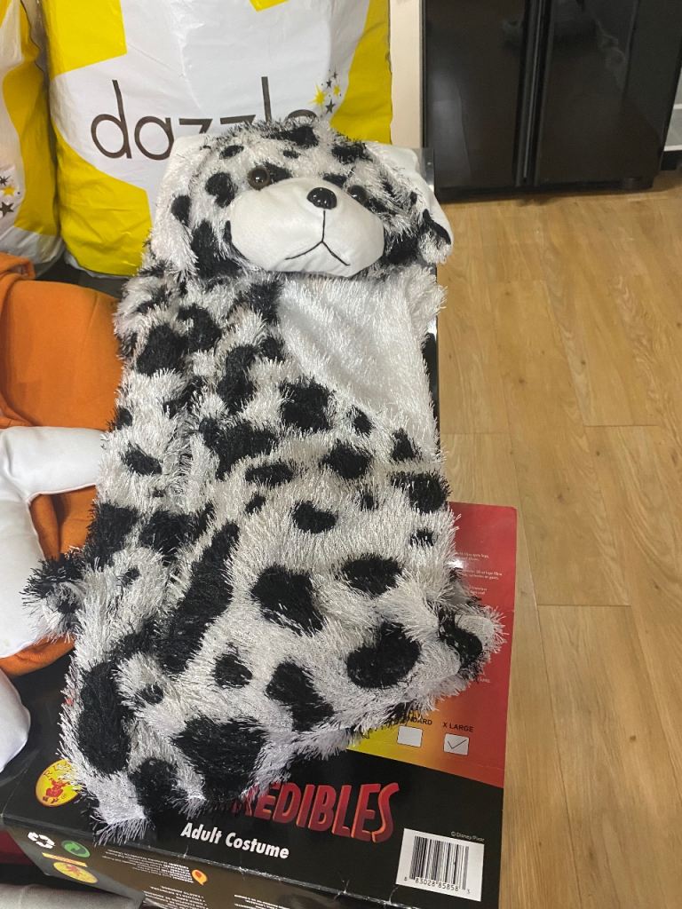 Fancy Dress Costume Bundle PENDING COLLECTION | in Larkhall, South ...