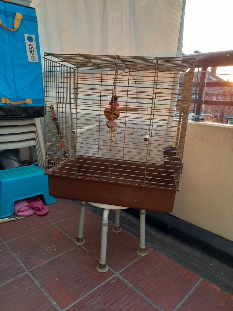 BIRD CAGE 
