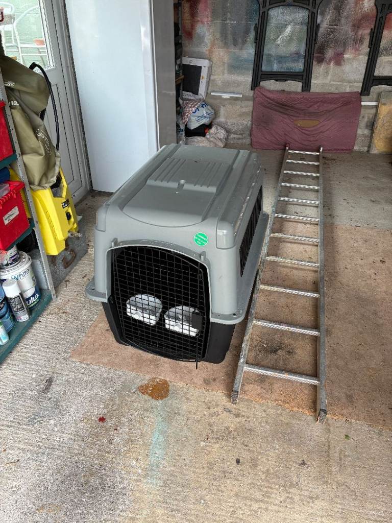 Petmate dog crate