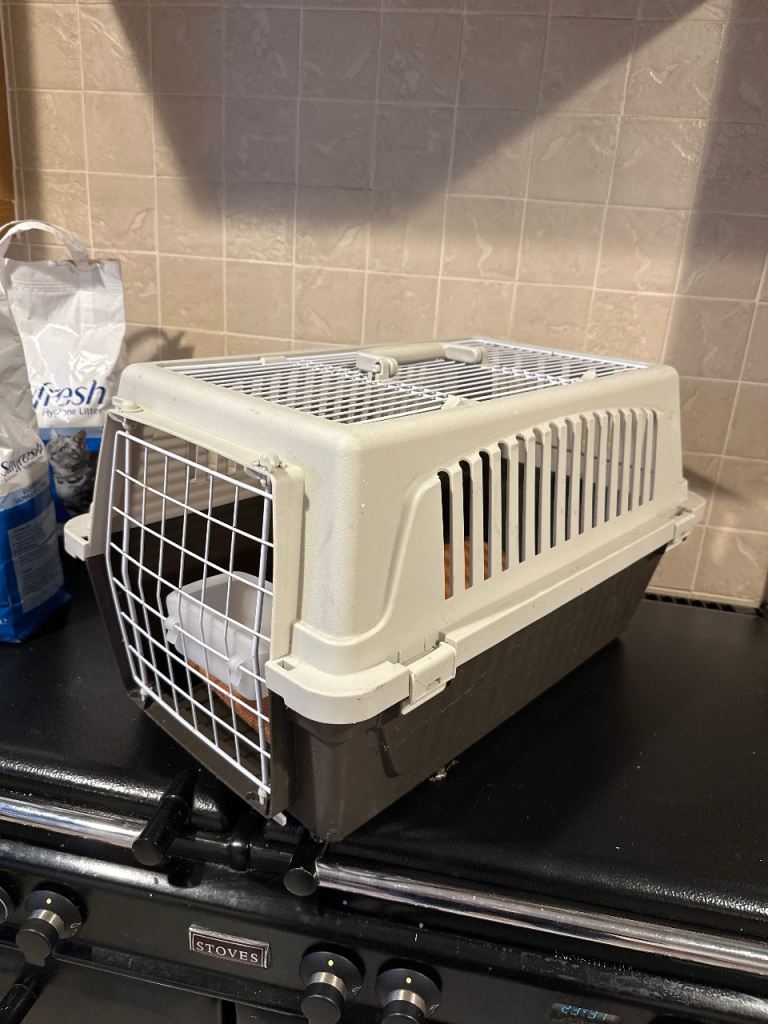 Large cat carrier - free