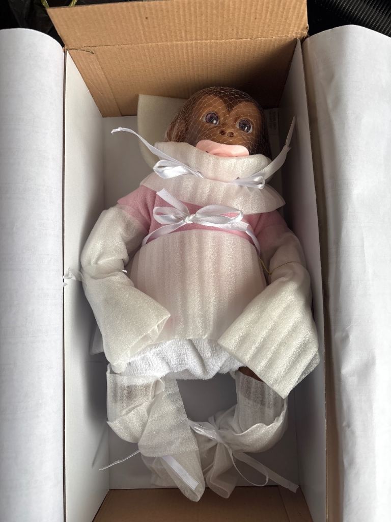 Coco baby monkey 