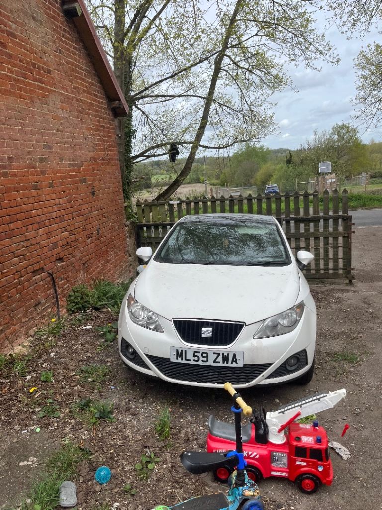 Seat, IBIZA, Hatchback, 2009, Manual, 1390 (cc), 3 doors