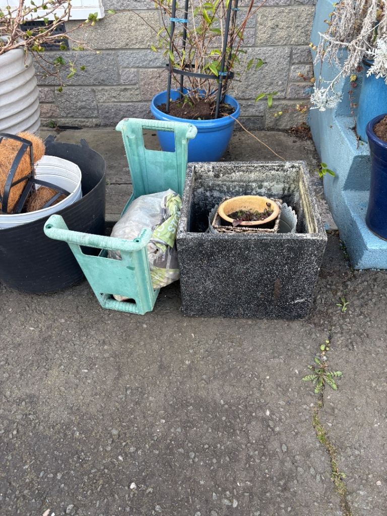 Now gone: Greenhouse clearout