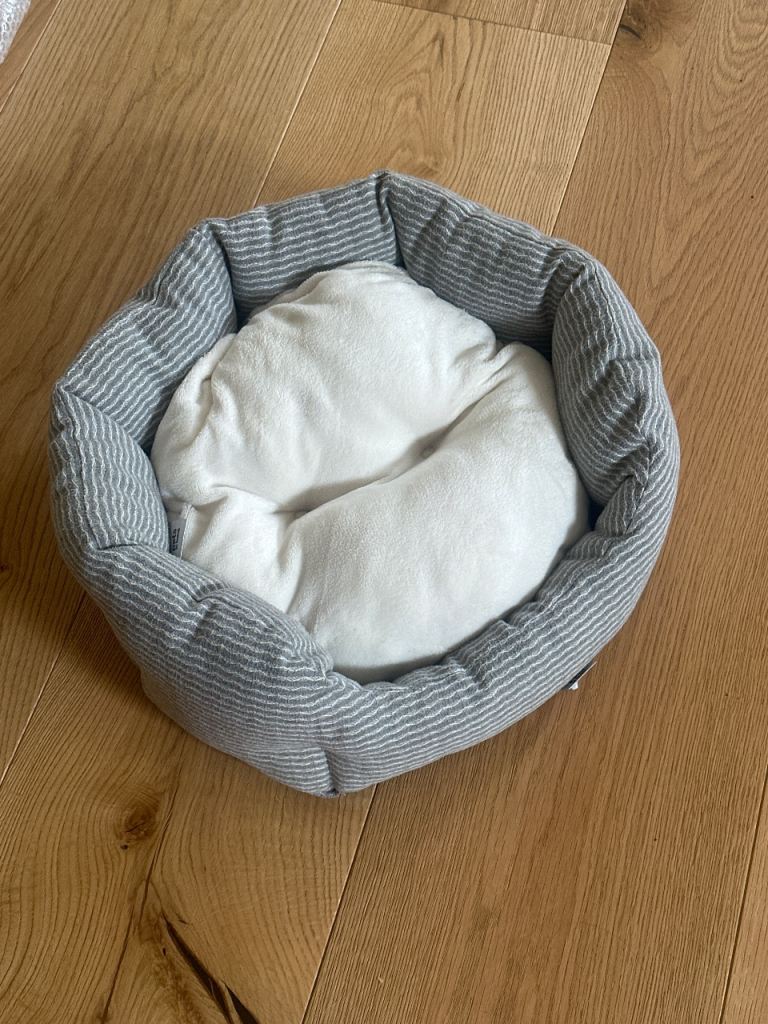 Free dog bed for small dogs