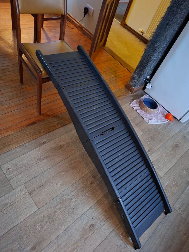 Folding Dog Ramp