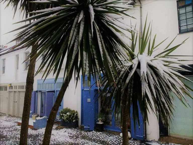 double room in lovely house £750 inclusive