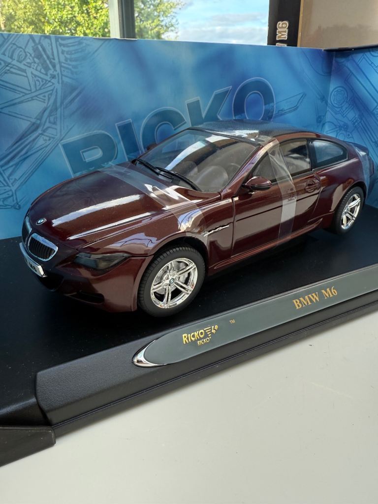 1/18 scale  BMW M6 - F13 die cast model car boxed , ricko -rare colour - nice 