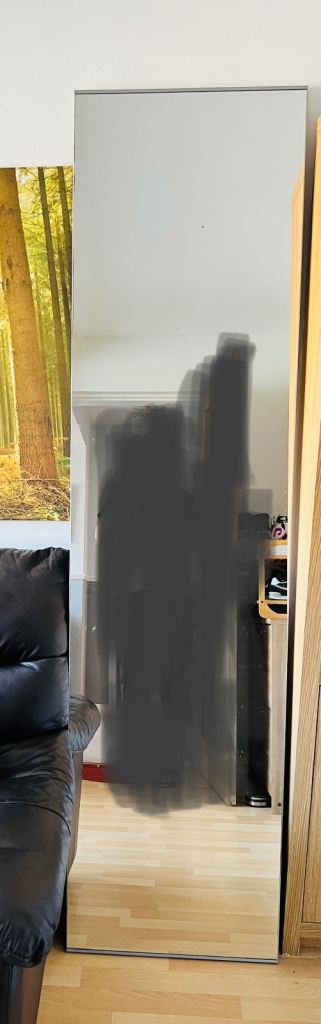 IKEA pax wardrobe mirror door x2