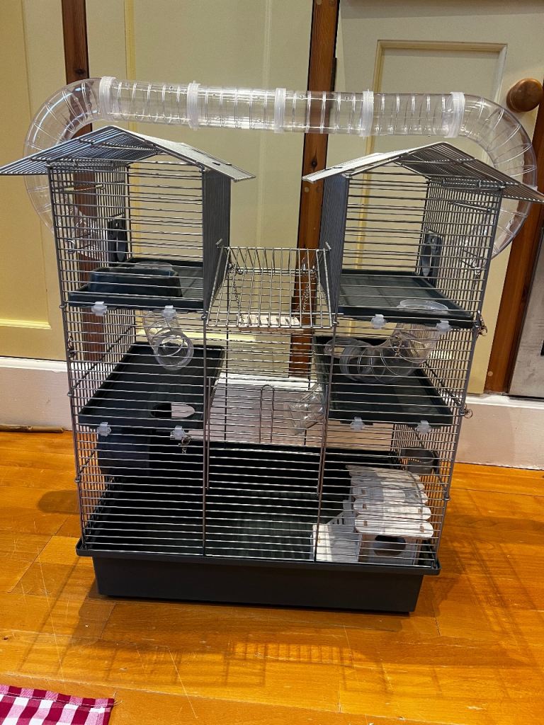 Pet cage for small animal